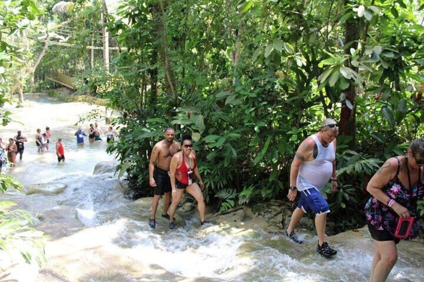 Dunns River Falls Half Day Private Tour From Falmouth Trelawny 