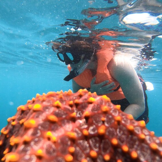 Picture 2 for Activity Zihuatanejo: Snorkeling in Manzanillo and Las Gatas