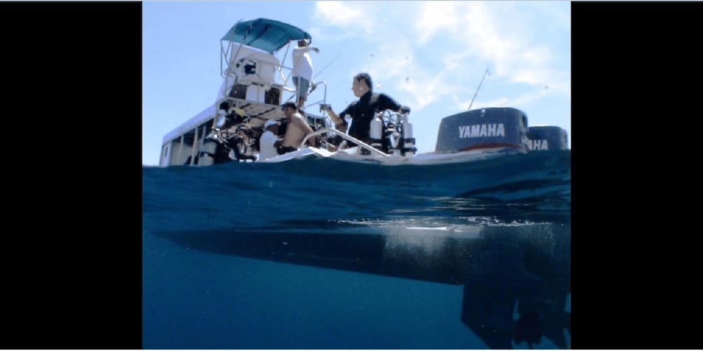 Picture 3 for Activity Puerto Vallarta: Exploring Majahuitas Underwater