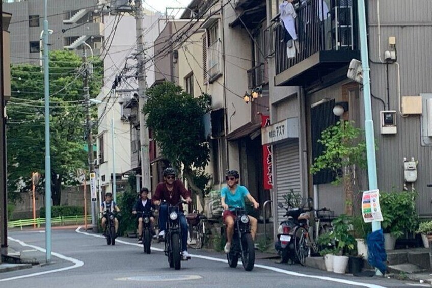 3 Hour Guided Ebike Tour of the City's Hidden Gems in Tokyo