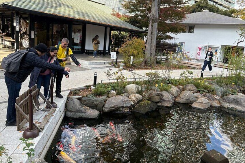 Tokyo 3-Hour Guided E-bike Cycling Tour of the City's Hidden Gems