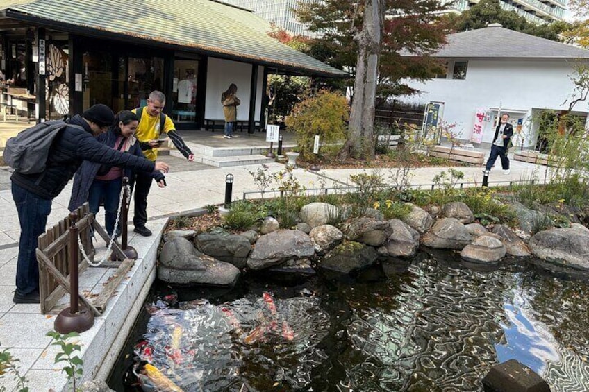 Tokyo 3-Hour Guided E-bike Cycling Tour of the City's Hidden Gems