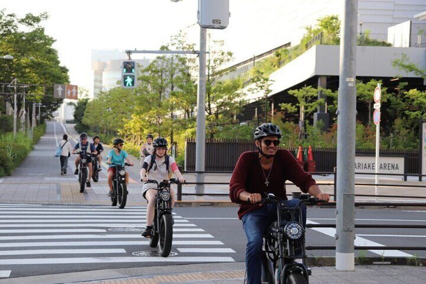 3 Hour Guided Ebike Tour of the City's Hidden Gems in Tokyo