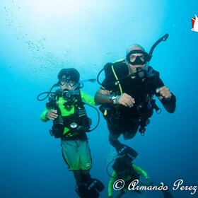 Puerto Vallarta: Scuba Diving Expedition at El Malinal