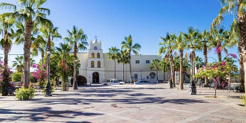 La Paz: Todos Santos Dagstur