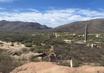 La Paz: Dagtocht El Triunfo en La Ventana