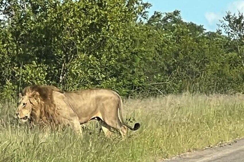 3 Day Kruger National Park from Maputo 