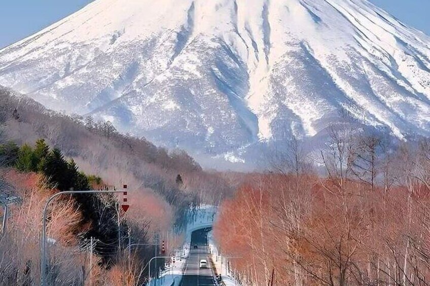 Mount Fuji Sightseeing One Day Tour from SHINJUKU