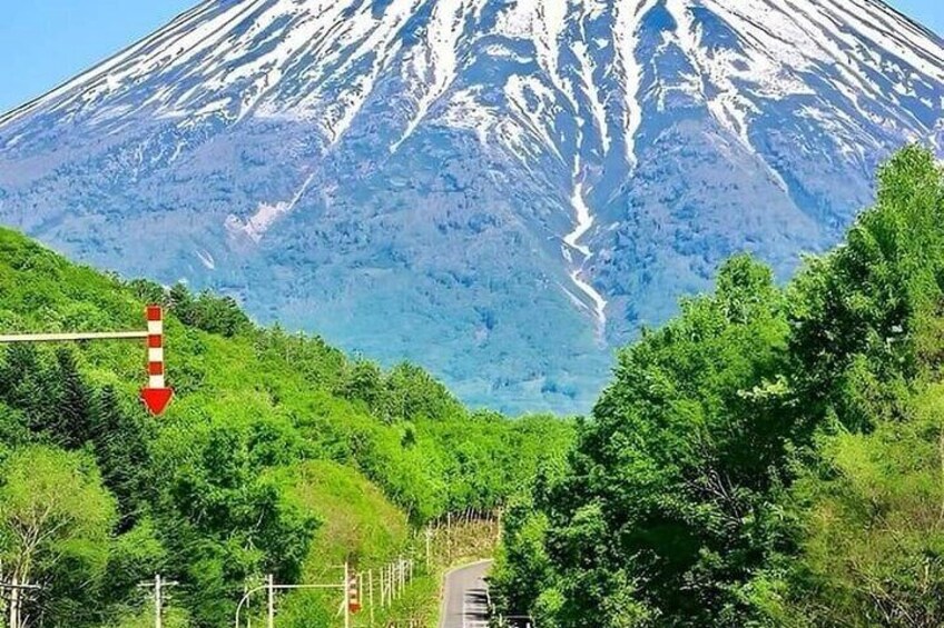 Mount Fuji Sightseeing One Day Tour from SHINJUKU