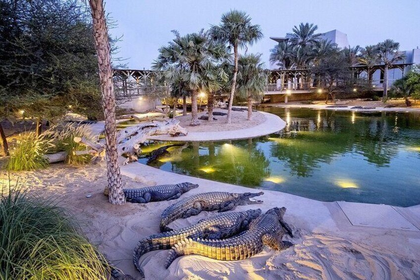 Dubai Crocodile Park With Transportation