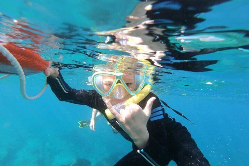 Reef swimming at lunch time
