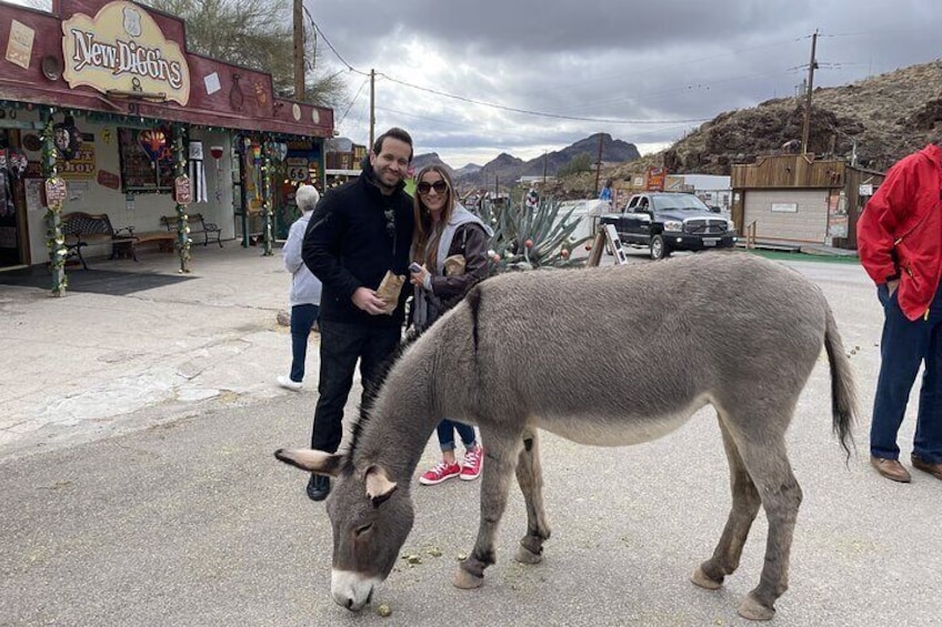 Oatman, Burros, Museums, Black Mountains, Scenic Rt 66 Tour NEW