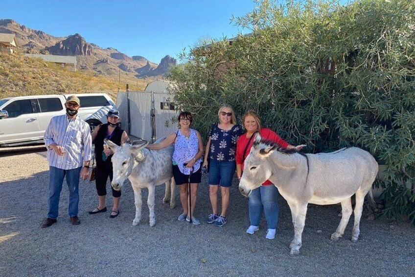 Oatman, Burros, Museums, Black Mountains, Scenic Rt 66 Tour NEW