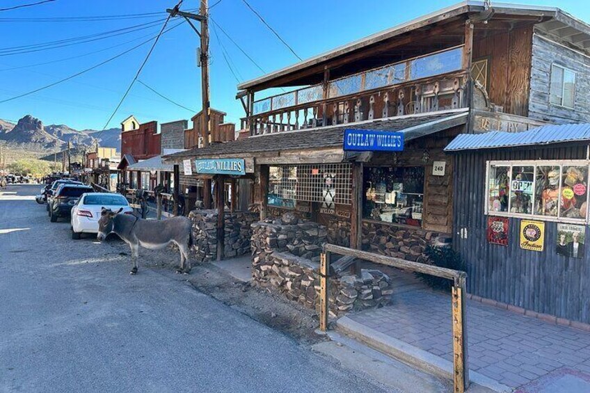 Oatman, Burros, Museums, Black Mountains, Scenic Rt 66 Tour NEW