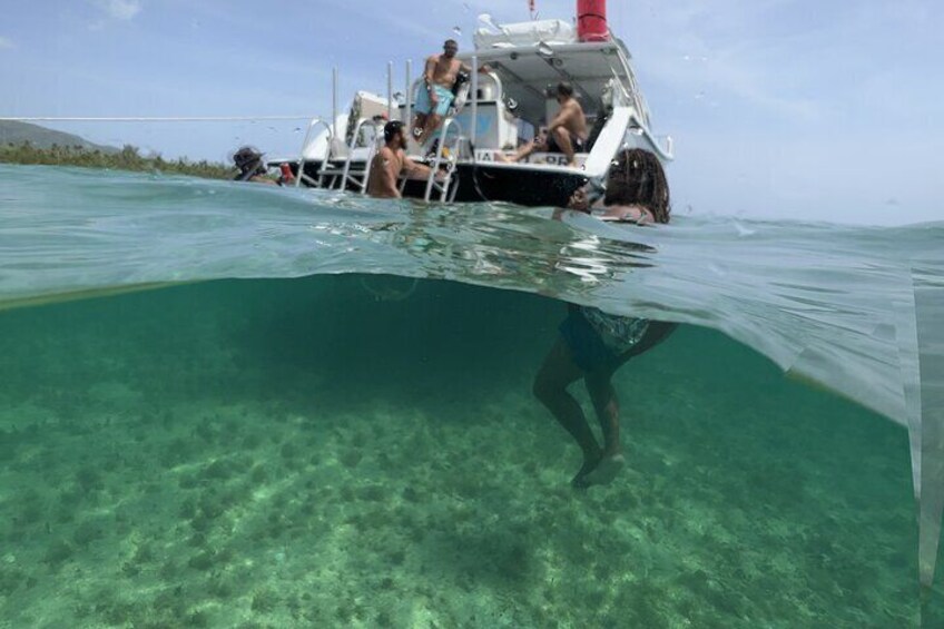 Vieques Snorkel and Beach Excursion with Lunch