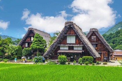 Shirakawago Hida Takayama and Gujo Hachiman Day Tour from Nagoya