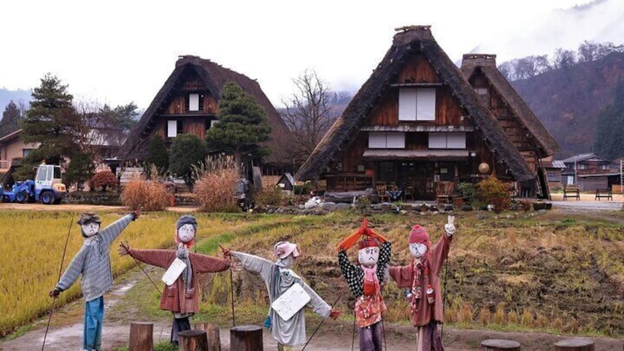 Enjoy the elegant and ever-changing foliage of Shirakawago in any season