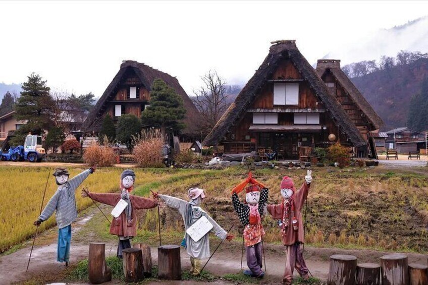 Enjoy the elegant and ever-changing foliage of Shirakawago in any season