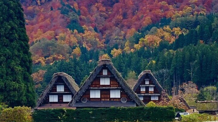 Takayama and Shirakawa Day Tour with Hida Beef Lunch from Nagoya