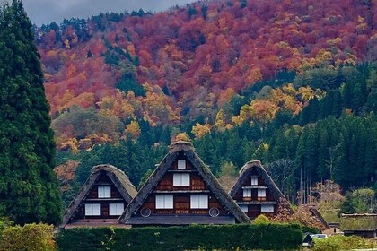 Takayama and Shirakawa Day Tour with Hida Beef Lunch from Nagoya