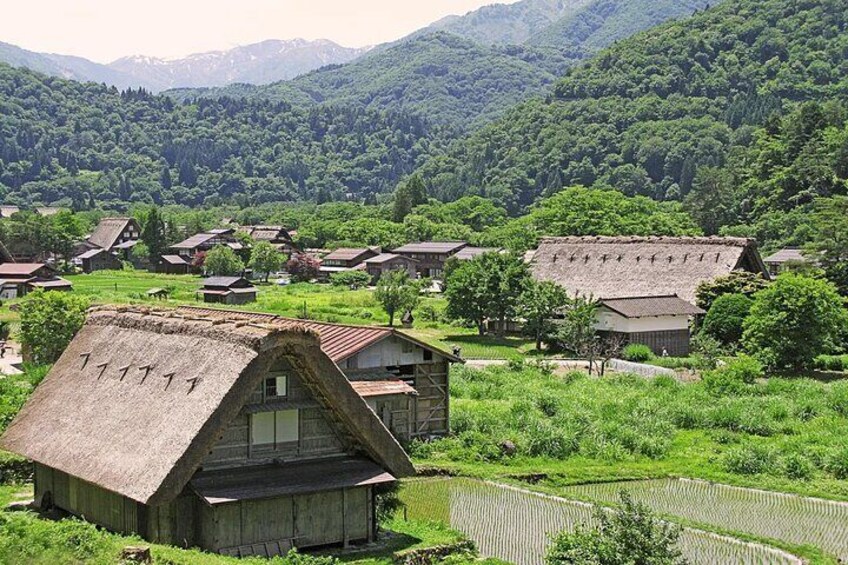 Stroll around Shirakawago and appreciate the spring atmosphere around