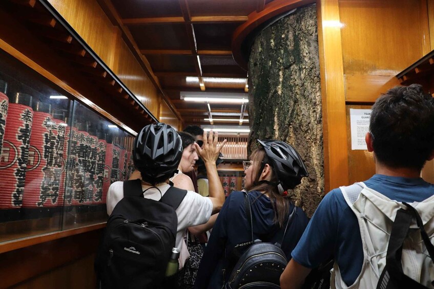 Picture 10 for Activity Tokyo: 3-hour Guided E-Bike Tour of the City's Hidden Gems