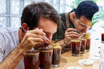 Coffee beyond the drink: master's degree in Colombian coffee