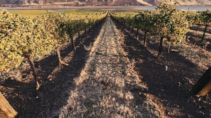 Hurray for Hollywood, Woodinville Winery Pass