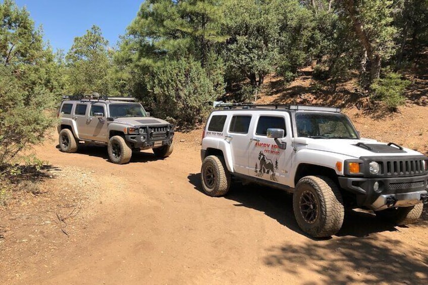 Private Off Road Adventure Tours in the Prescott National Forest