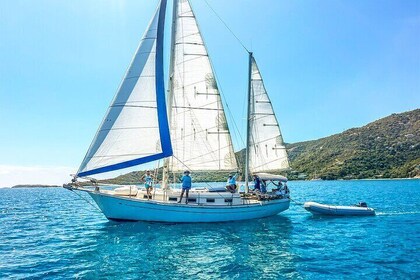 3 Hour Sail in St. John from Coral Bay