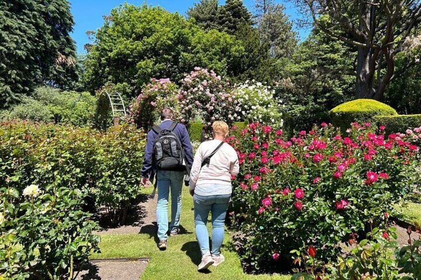 Christchurch City Top Spots Half Day Tour(Small Group Tour)