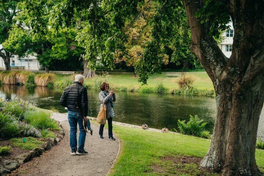 Christchurch City Top Spots Half Day Tour(Small Group Tour)