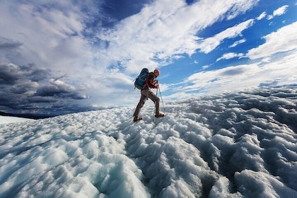 South Coast and Glacier Walk Full day Private Tour From Reykjavík