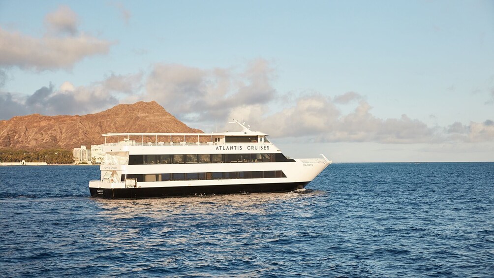 Waikiki Whale Watching Cruise Aboard the Majestic