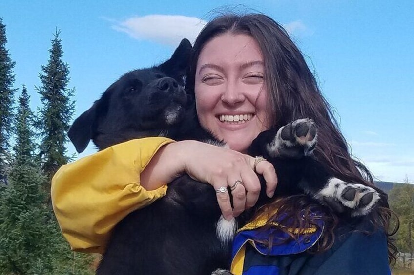 Tundra Walk with Free Running Sled Dogs