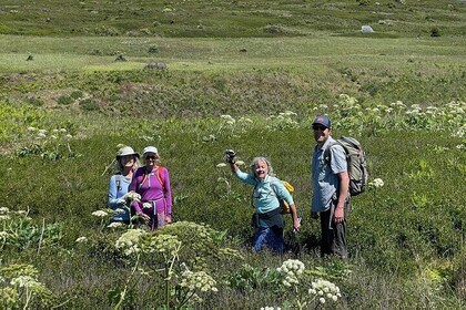 Scenic Coast and Wildlife Tour