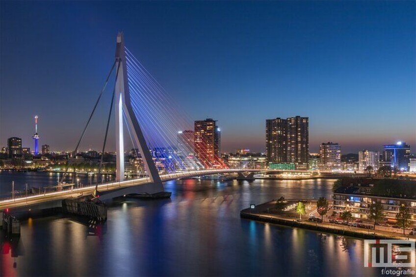 Private VIP Day Tour from Amsterdam to the Hague or Rotterdam