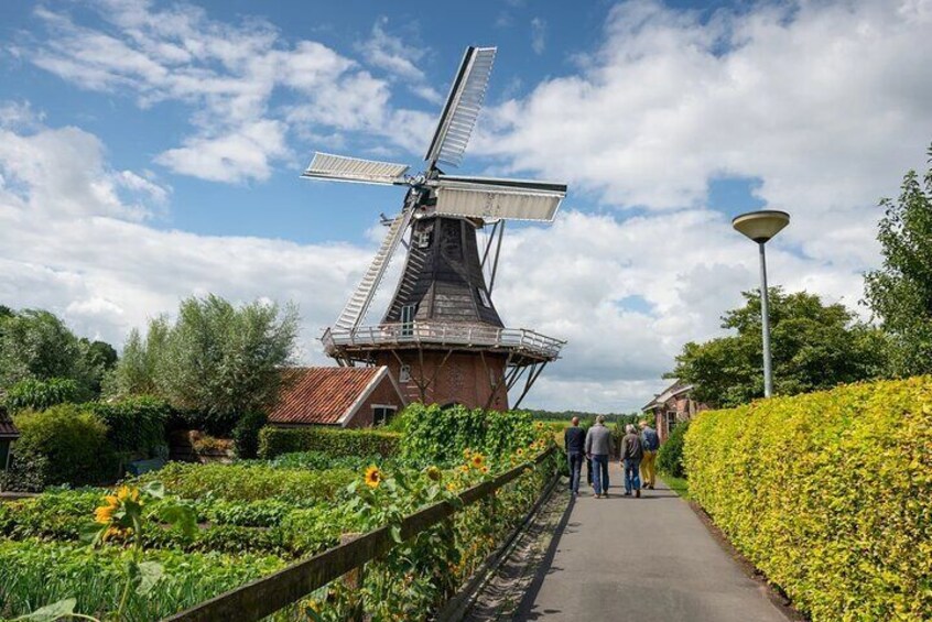 Private VIP Day Tour from Amsterdam to the Hague or Rotterdam