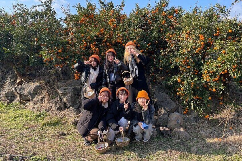 Jeju Customize Private Tour East Course with Sunrise Peak Haenyeo