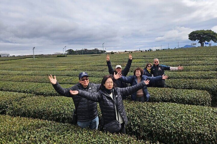 Jeju Customize Private Tour East Course with Sunrise Peak Haenyeo