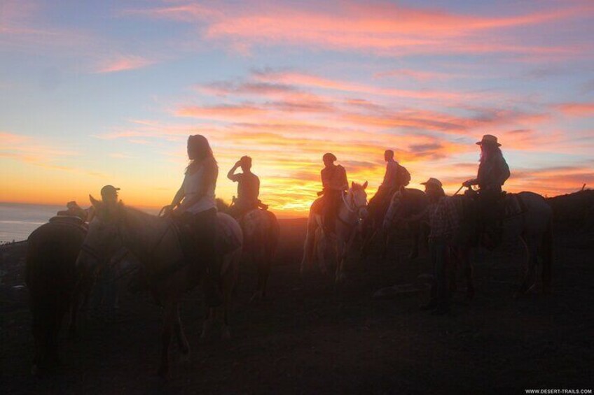 Adventure Delight The Ultimate Combo Ride at Desert Trails