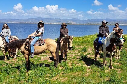 Adventure Delight The Ultimate Combo Ride at Desert Trails