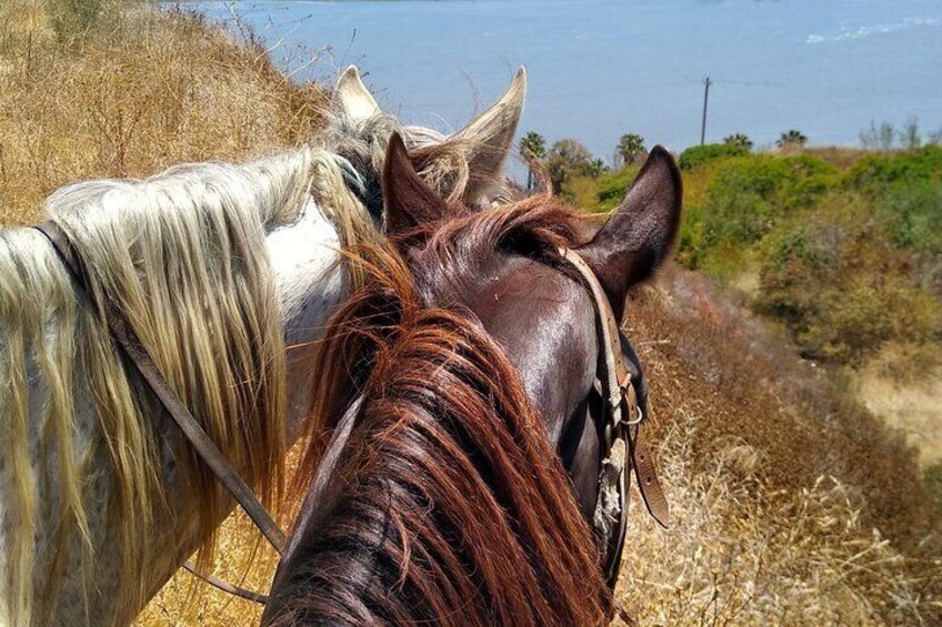 Adventure Delight The Ultimate Combo Ride at Desert Trails