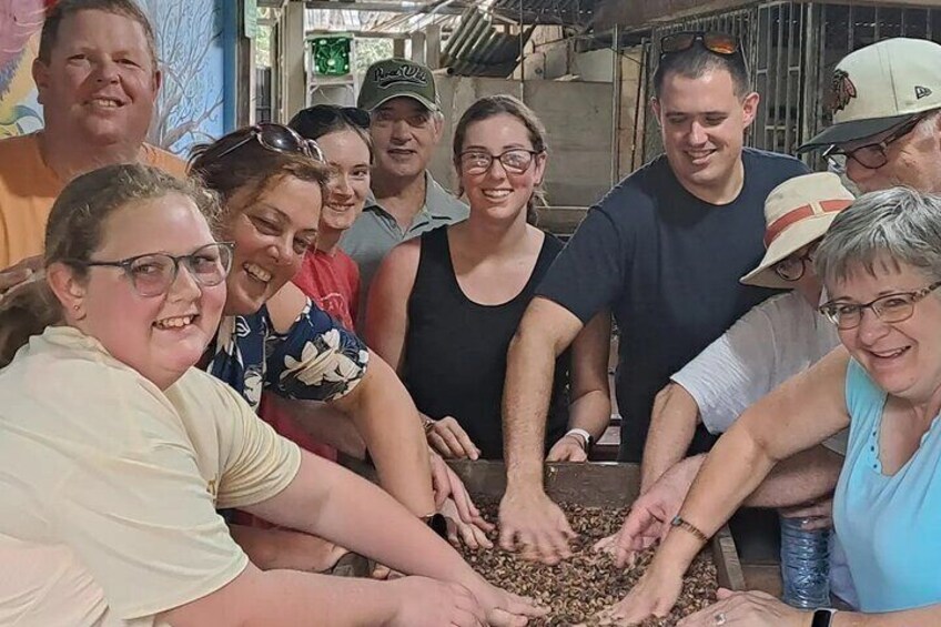 Uvita Coffee Tour