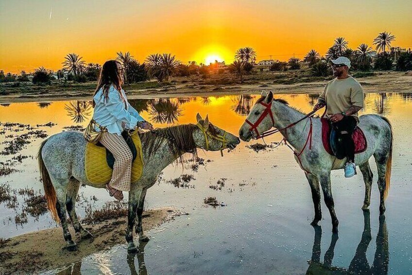 Horse or Dromedary Ride at Sunset in Djerba