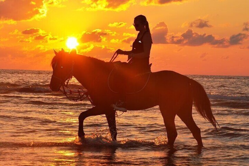 Horse or Dromedary Ride at Sunset in Djerba