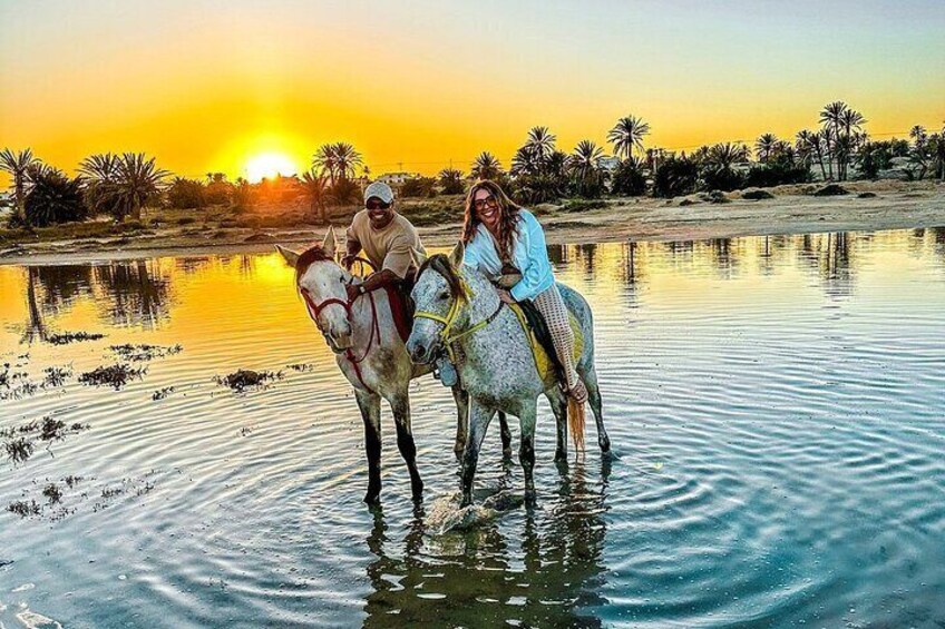 Horse or Dromedary Ride at Sunset in Djerba