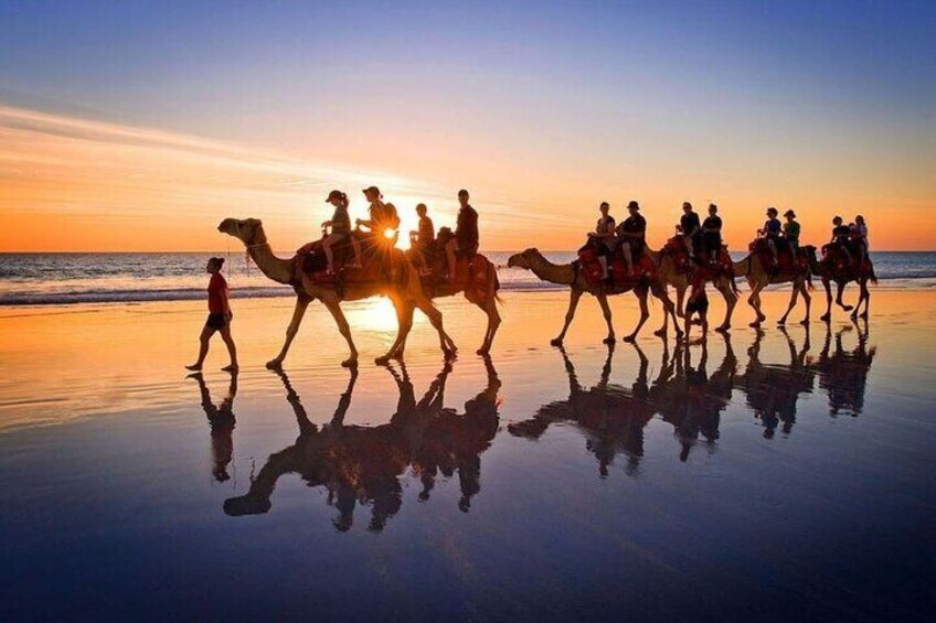 Horse or Dromedary Ride at Sunset in Djerba