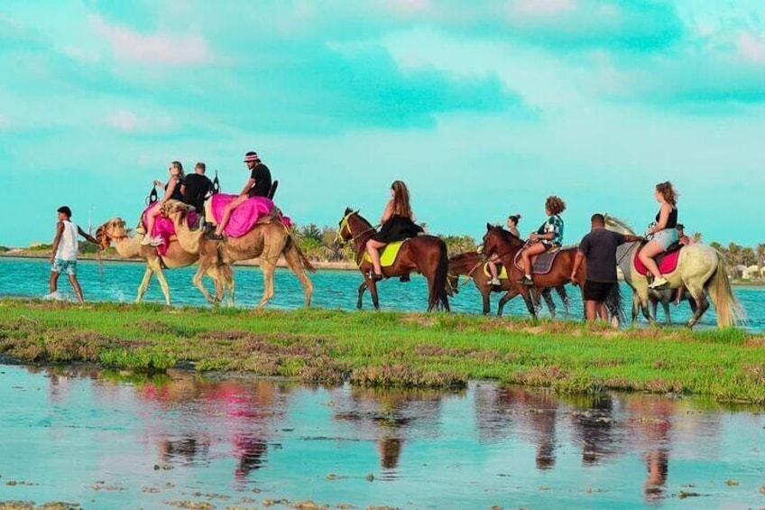 Horse or Dromedary Ride at Sunset in Djerba