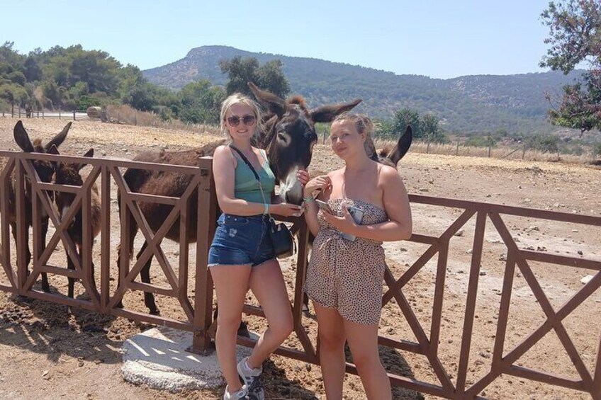 Paphos: Akamas Gorge & Turtle Bay Jeep Tour with Donkey Farm